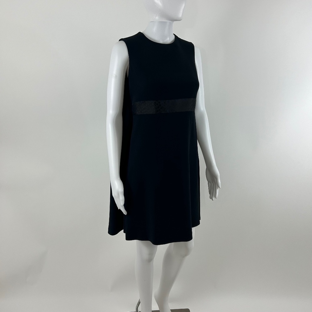 Alexander McQueen Cape Dress